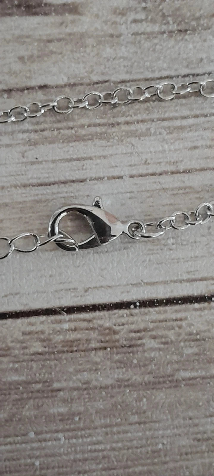 Amulet ketting, Italiaanse hoorn, zilverkleurige kleur – photo 4